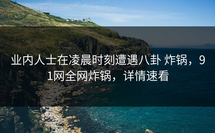 业内人士在凌晨时刻遭遇八卦 炸锅，91网全网炸锅，详情速看